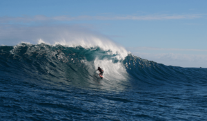 サーフィン映画ドリフト