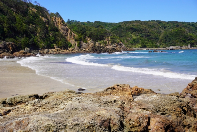 伊豆の海の画像