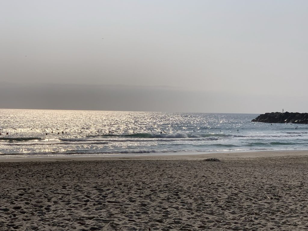 ディーバーの中央エリアの波の画像