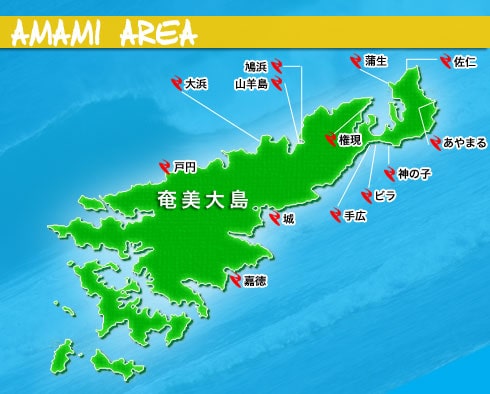 奄美大島のサーフポイントの画像