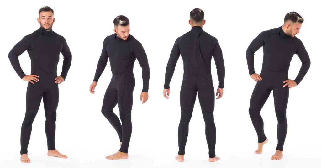 セミドライの画像